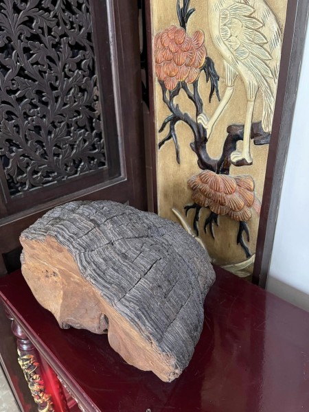 Đi đến slide 4