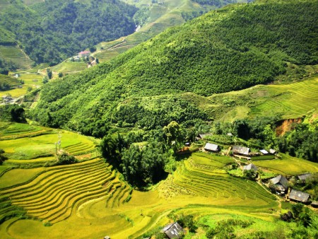 Đi đến slide 5