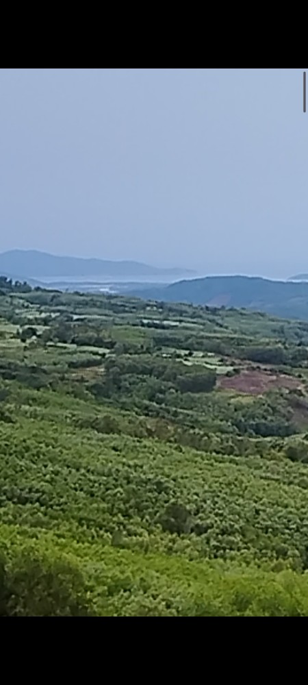 Đi đến slide 7