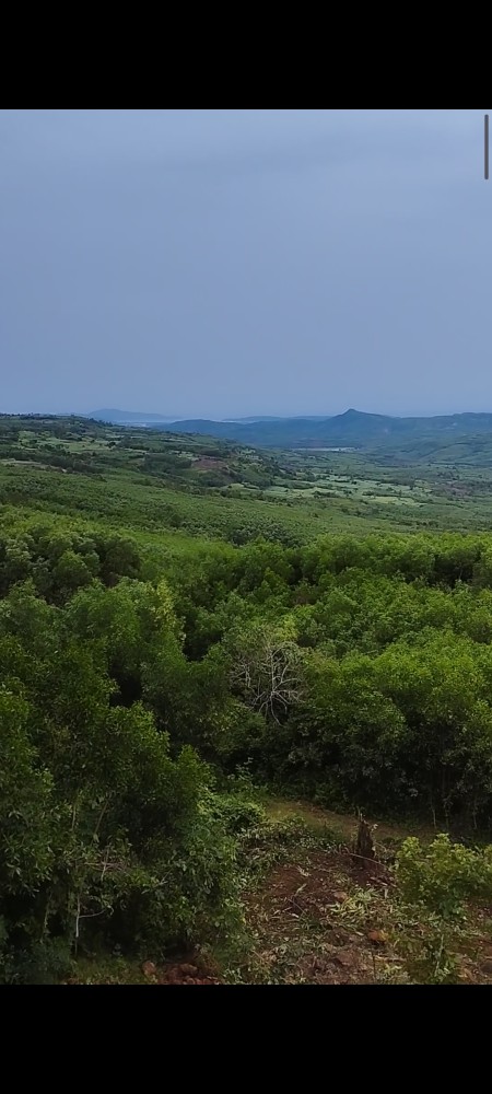 Đi đến slide 8