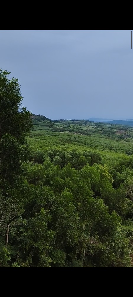 Đi đến slide 10