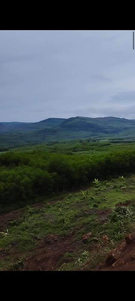Đi đến slide 9