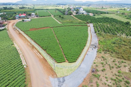 Đi đến slide 24