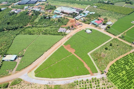Đi đến slide 23