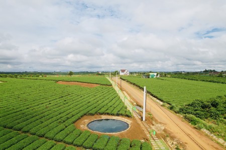 Đi đến slide 4