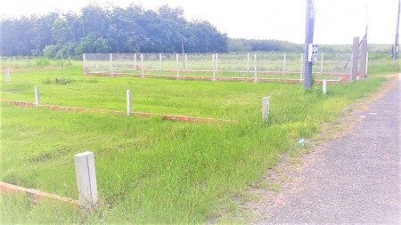Bán gấp lô đất diện tích 300m2 thổ cư giá 690 triệu khu dân cư đông