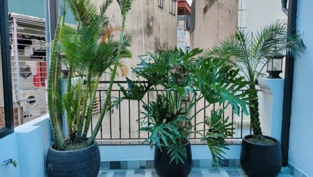 Chính chủ cần bán nhà phố Hồng Mai, Hai Bà Trưng, Hà Nội giá 5.3 tỷ
