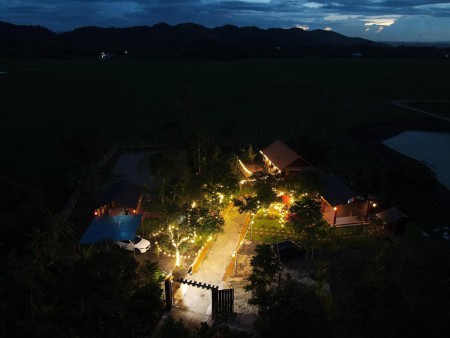 Đi đến slide 11