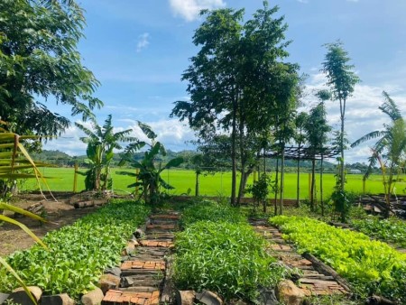 Đi đến slide 9
