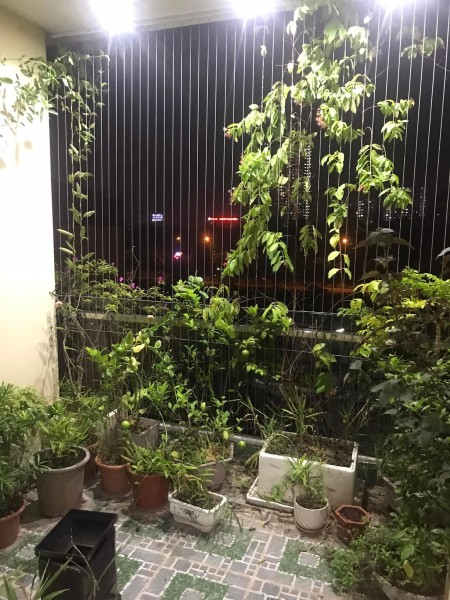 Bán nhà gần trung tâm thương mại Thanh Trì kinh doanh đỉnh, ô tô quay đầu DT 42m², giá 4,8 tỷ