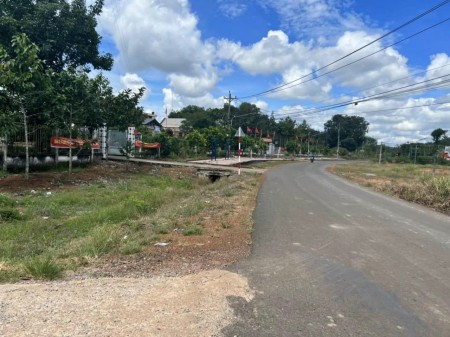Đất ngay trung tâm Tân Lợi, sát khu công nghiệp Becamex 6300 ha