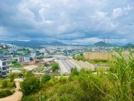 Cần bán 203m2 đất mặt tiền đường Trịnh Hoài Đức view ngày view đêm cực đỉnh toàn thành phố Đà Lạt
