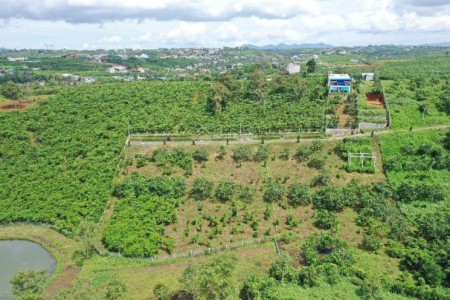 Cần tiền xây nhà bán gấp lô đất gần mặt đường Quốc Lộ 20