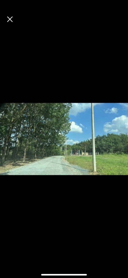 Đi đến slide 1