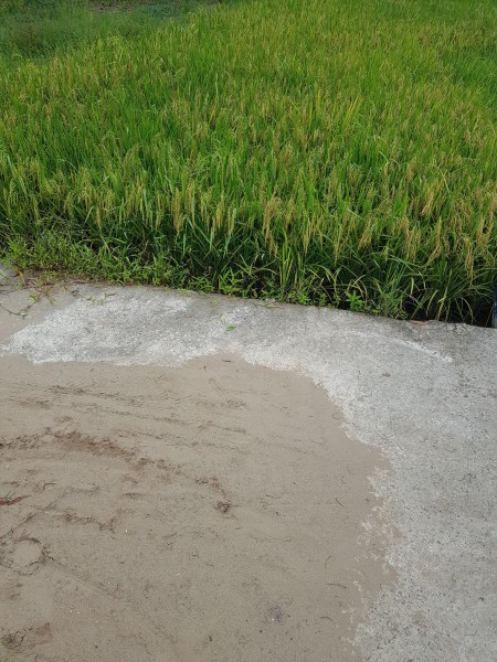 Đi đến slide 6