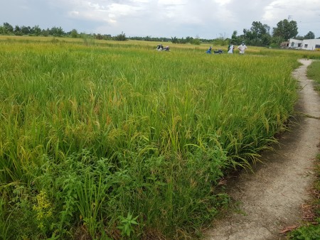 Đi đến slide 5