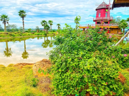 The Ocha đất biệt thự nghĩ dưỡng cao cấp Bảo Lộc, đường lớn, giá tốt