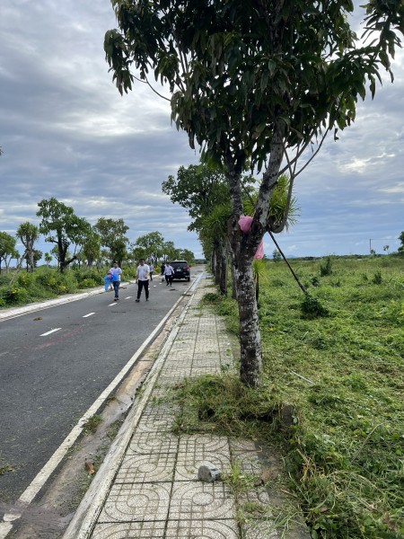 Đi đến slide 3