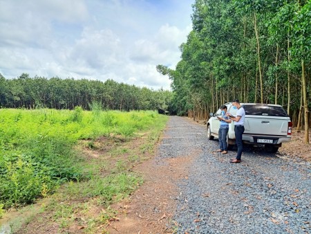 Cần nhượng lô đất sào Bình Phước chỉ 359tr, đã có sổ hồng riêng, vị trí gần cụm KCN hiện hữu