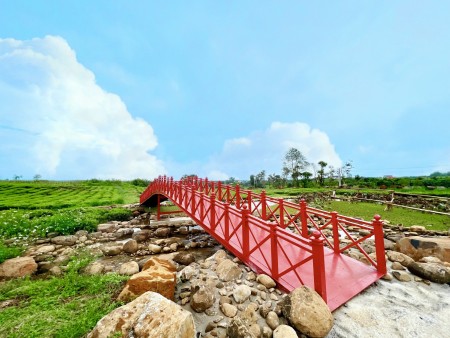 The Ocha đất nghỉ dưỡng cao cấp Bảo Lộc, liên hệ 0365555667