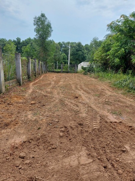 Đi đến slide 6