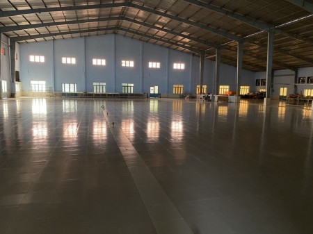 Giá rẻ! Cho thuê 2000m2 kho đường Mỹ Hạnh, Mỹ Hạnh Bắc, Đức Hoà, Long An.