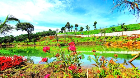 Đi đến slide 7