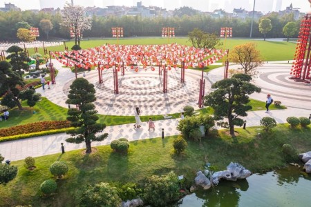 Đi đến slide 7
