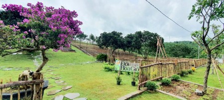 Đất nền dự án làng du lịch sinh thái Đồi hoa gió Bảo Lộc