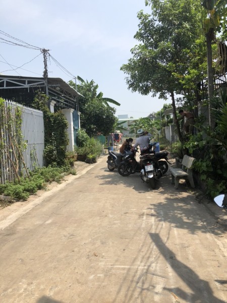 Về quê mở trại chăn nuôi tôi cần bán 2 miếng đất này, chính chủ ở Bến cát- Bình Dương