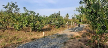 Cần bán gấp lô đất nền Dương Minh Châu Tây Ninh, giá rẻ 480 Triệu/Nền