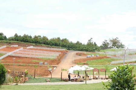 Đi đến slide 4