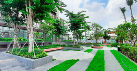 Đi đến slide 11