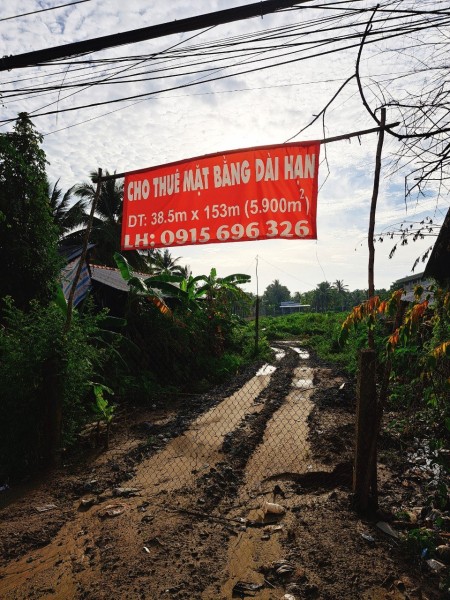 Cho thuê dài hạn đất mặt tiền Quốc Lộ 1A, Châu Thành, Tiền Giang
