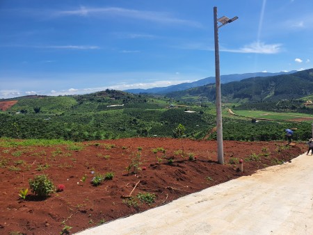 Cần bán 5 sào đất tại thôn 3,xã nam hà,huyện lâm hà,lâm đồng