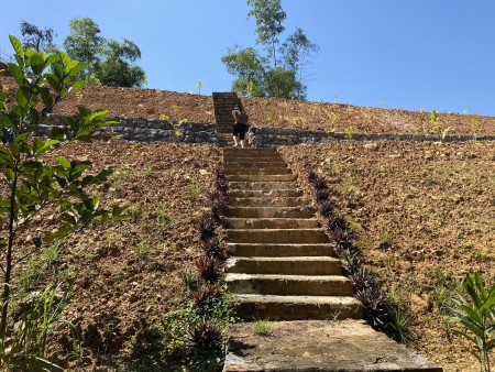 Đi đến slide 5