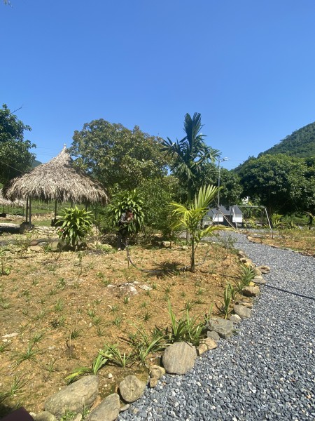 Đi đến slide 7