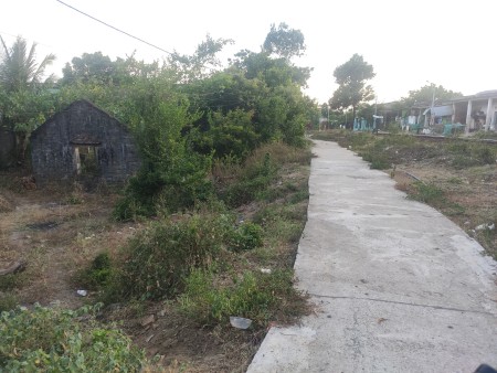 Đi đến slide 6