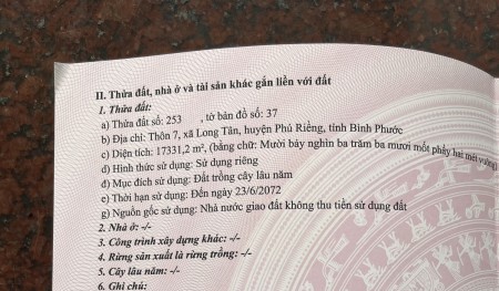 1,73 (heta) rẫy cao su đang cho thu hoạch, sổ hồng riêng, đất vuông vức, bằng phẳng như sân bay