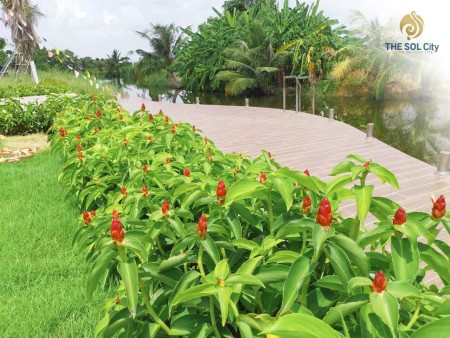Đi đến slide 4