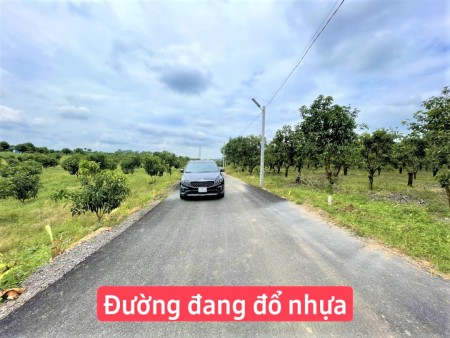 Đất định quán cách đường 101 nam lộ 500m, liền kề khu công nghiệp, quy hoạch đất ở
