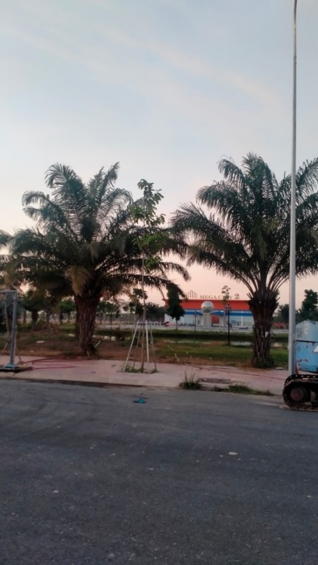 Cần tiền bán lô đất thổ cư 100% ngay trung tâm hành chính Nhơn Trạch (mặt tiền đường 25C rộng 100m)