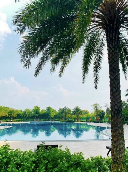 Đi đến slide 9