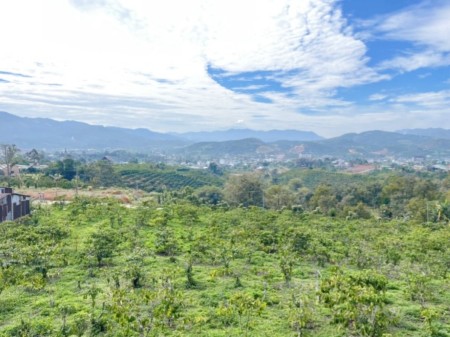 Bán 3,3 sào 1tỉ9 có view thích hợp xây homestay, nghỉ dưỡng, bao sổ