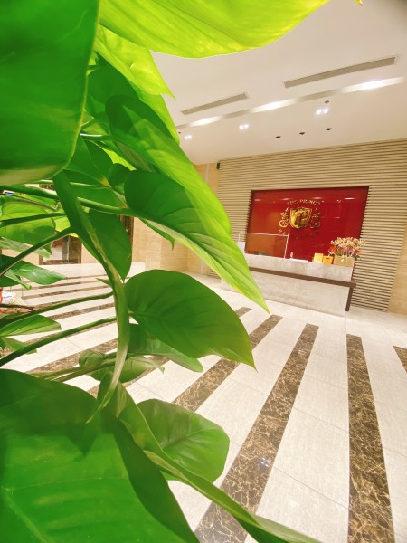 Office 20m2 cho thuê - The Prince, Phú Nhuận giá 13tr/th