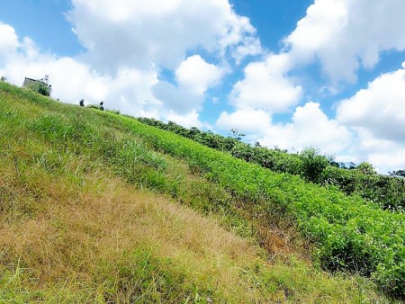 Bán nhanh 1 sào xã Đambri, view nghỉ dưỡng, 1tỷ4 buông sổ