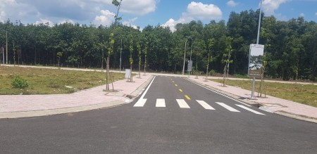 Đi đến slide 1