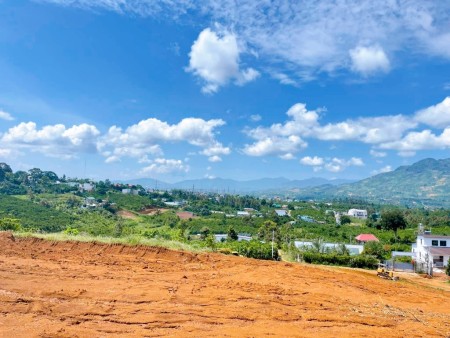 Bán 2sào2 hẻm Trần Phú, có view giá 1tỷ5 buông sổ pháp lý chuẩn