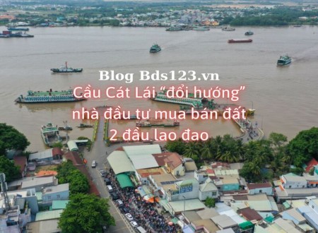Ảnh bài viết: Cầu Cát Lái “đổi hướng” nhà đầu tư mua bán đất 2 đầu lao đao
