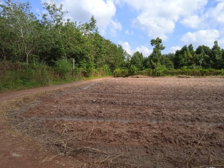 Đi đến slide 7